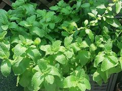 -艾加柒克蛋糕茶歇甜品台(春熙路店)