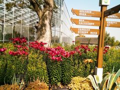 -南通洲际绿博园