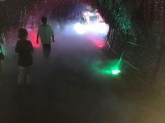 -大塘金香草谷