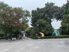-团结湖公园