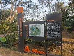 -聚龙山公园