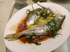 清蒸黄花鱼-新享乐海鲜(翠华路店)