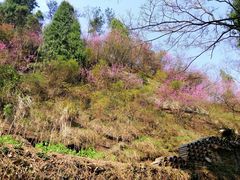 -天台山赤城山景区