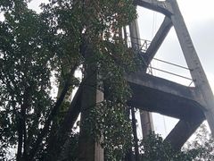 -杭州半山国家森林公园