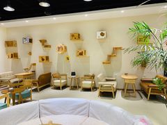 -藏猫猫咖啡主题馆(中央大道店)