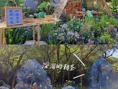 -莲花山公园