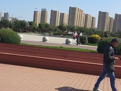 -丁香湖公园