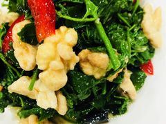 果仁香椿-壹条龙饭庄台基厂店