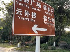 -铁山坪森林公园