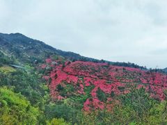 -木兰云雾山