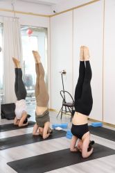 -亚太瑜伽普拉提学院