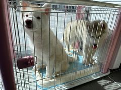 -萌兽医馆·眼科·异宠专科(三里屯店)