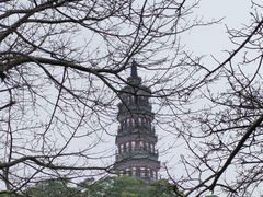 -顺峰山公园