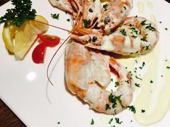 -百好乐宠物友好餐厅(朝外大街店)