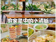 -芭厘农庄老字号·清远鸡