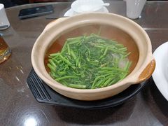 -熠盛粤味·顺德桑拿鸡(永康路店)