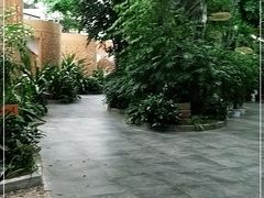 -滕头生态酒店(奉化店)