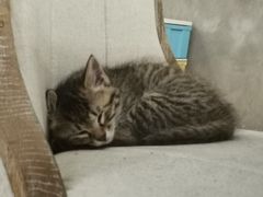 -么么咖啡(燕郊店)