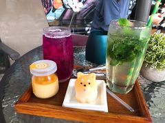 -柴犬高等学院·狗咖·柴犬售卖·宠物训练