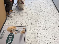 -瑞派康怡24h宠物医院·犬猫医疗中心·微创绝育(瑞景分院)
