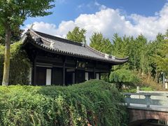 -月湖公园