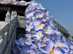 -江苏三台山国家森林公园