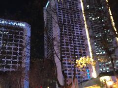 -南京金陵饭店