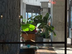 -The Rug Cafe(王府中环店)