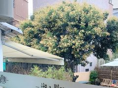 -湖南别院·美学庭院餐厅(惠阳店)