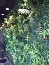 -木北造型