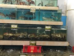 水产区-秋姐美食店(旅游大道店)