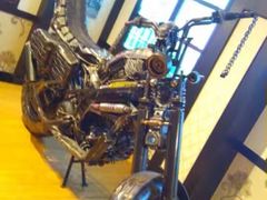 -信不信由你博物馆