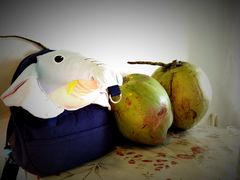 -花乐餐厅(涠洲岛店)