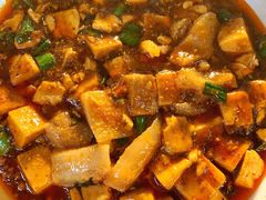麻婆豆腐烧鱼唇-浣花锦绣(杜甫草堂店)