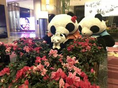 -成都保利公园皇冠假日酒店(熊猫基地店)