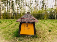 -诗经里