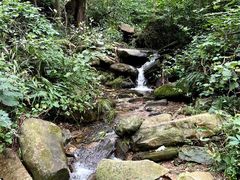 -素山寺森林公园