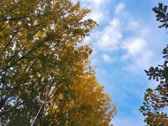 -秦岭终南山世界地质公园翠华山景区
