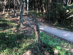 -青龙山公园
