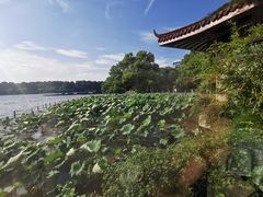 -湖畔居茶楼(湖滨店)