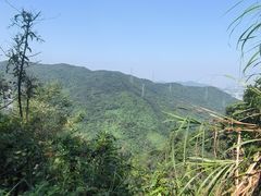 -阳台山森林公园