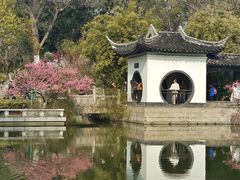 -红梅公园