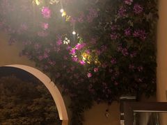 -壹号院音乐餐厅•烤全羊•新疆菜(浐灞店)