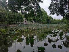 校园-广西大学(大学东路校区)
