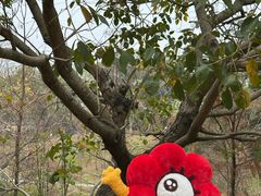 -云溪植物园