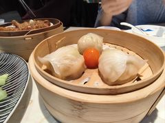 -点都德·毕德寮