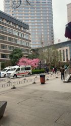 -河南中医药大学第一附属医院-医疗整形