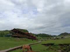 -关山草原