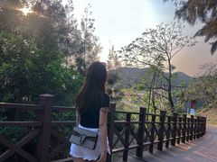 -西澳岛