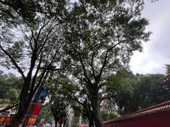 -南岳衡山风景名胜区-南岳大庙